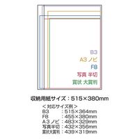 ナカバヤシ アーテムグラフィックファイル /クリア CBCT-GB3C 1セット(2冊)（直送品）