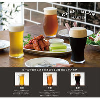 石塚硝子 クラフトビア・マスターセット 4963972562623 1個