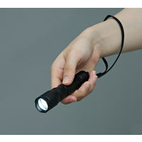 LEDハンディライト ミニ 100lm ズーム機能付き 懐中電灯 IPX4 防災備品 アイリスオーヤマ LWK-100Z 1個