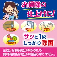 白十字 エタワイパー(ケース詰替用) 24-6144-03 1箱(250枚入)（直送品）