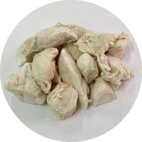 フリーズドライ ささみ 無添加 国産 28g 1袋 ドッグフード 犬 おやつ 猫ちゃんも食べれます