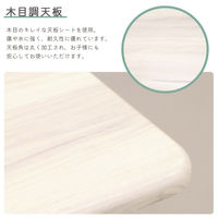 エイ・アイ・エス 折畳テーブル M 幅500×奥行480×高さ700mm グレー FT-08M GY 1台（直送品）