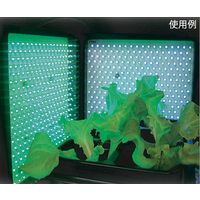 シーシーエス 植物育成用LED照明ユニット 緑+緑 ISL-150X150-HGG-SN 1個 65-9038-49（直送品）