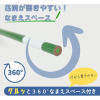 レイメイ藤井 先生おすすめ 色鉛筆 24色セット ケース:バイオレット RE1191V 1個