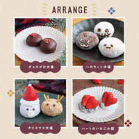 井村屋（株） [冷凍] 井村屋 チョコクリーム大福（チョコあん） 40g×4個×12個 4901006413053（直送品）