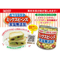 いなば食品（株） いなば食品 毎日サラダ 食塩無添加ミックスビーンズ 110g×6個 4901133245299（直送品）