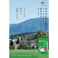 らくのうマザーズ 抹茶オレ 250ml×24本 4908839183177（直送品）