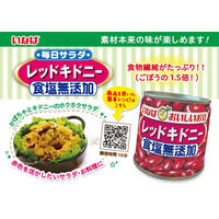 いなば食品（株） いなば食品 毎日サラダ 食塩無添加レッドキドニー 110g×12個 4901133245336（直送品）