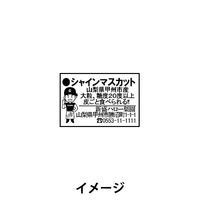 新盛インダストリーズ ラベルプリンター サーマル上質紙 30×20mm 1セット（800枚/巻×10個） 30T20SG