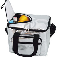 ヒロオカ アルミクーラーバッグ(25l) シルバー H3611 1箱（直送品）