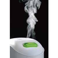 ミントアロマオイル付パーソナル加湿器 SK-4976W 1箱 ツインバード（直送品）