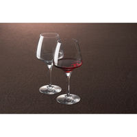 岸保産業 シェフ&ソムリエ プロテイスティング ペアワイングラス U1008P 1箱（直送品）