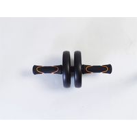 アルインコ エクササイズホイール WBN229 1箱（直送品）