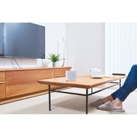 山善 ワイヤレス手元スピーカー YWTS-800 60479 1箱（直送品）