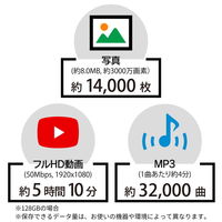ARCHISS SDXC Card 128GB UHS-I Class10 AS-128GSD-SU1 1個