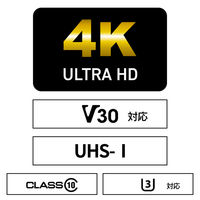 ARCHISS 高耐久microSDXC 128GB UHS-I U3/4K対応/V30 AS-128GMS-PV3 1個
