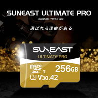 SUNEAST microSDXC UHS-I Card GOLD 256GB SE-MSDU1256B185 1個