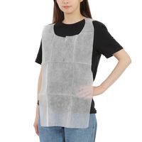 伊藤忠リーテイルリンク 不織布エプロン ホワイト 1箱（900枚：30枚入×30袋） NWE-01