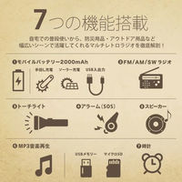 シンシア RELAX リラックス マルチレトロラジオクロック ライラック RE-096-08 1台（直送品）