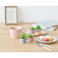 聖新陶芸 聖新 GD-96901 カラーミーアップマグアップルミント　1個（直送品）