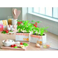 聖新陶芸 聖新 GD-98001 エッグ栽培セットミニトマトバジル　1セット（直送品）