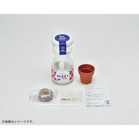 聖新陶芸 聖新 GD-98802 ビングリーンバジル　1個（直送品）