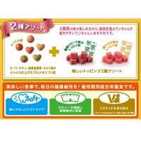 プッチーヌ mottomotto ソフト 11歳から 国産 800g（100g×8袋）ドッグフード 犬 ドライ