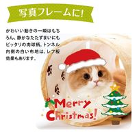 キャット トンネルスパイラル 木目調 1個 猫壱