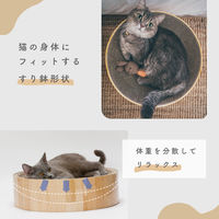 バリバリボウル 猫柄 1個 爪とぎ 猫壱