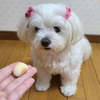 ペティオ 体にうれしい ボーロちゃん 大粒 国産 100g 1個 ドッグフード 犬 おやつ