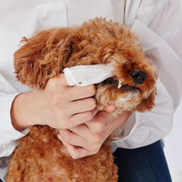 ペティオ 犬猫用 歯みがき用 シートでふきとる デンタルティッシュ（30枚入×2個）お得パック 1個 犬 猫