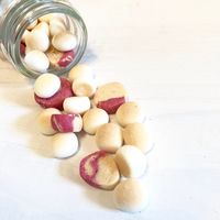 犬用 おやつ Bon・rupa 苺とみるくは仲良しさん♪ 国産 20g 1個 ボンルパ