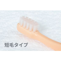 歯ブラシ 犬猫用 オーラバイオブラシ 短毛タイプ OraBio 国産品 歯科衛生士推奨 バイロン