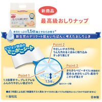 ピジョン おしりナップ プレミアム極上厚手（50枚×2個パック）