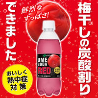伊藤園 UME SODA RED 500ml 1セット（48本）