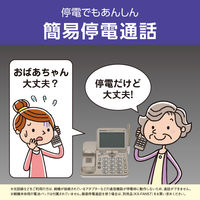 パナソニック デジタルコードレス電話機 VE-GD78DL-N 1台