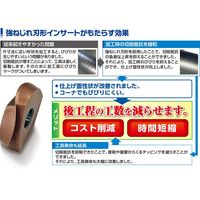 MOLDINO カッタ用インサート ZDFG200-ST PN15M 1セット(2PC)（直送品）