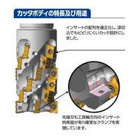 MOLDINO ラフィングエンドミル・ボア AMEB1250R-42-4NT 1PC（直送品）