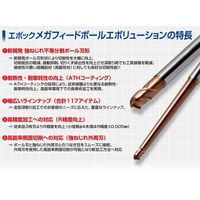 MOLDINO エポック ペンシルメガフィードボール EMBPE3010-18-09-ATH 1セット(2PC)（直送品）