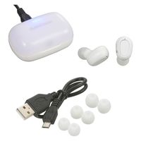 オーム電機 完全ワイヤレスイヤホン 530Z 03-0765 1個（直送品）