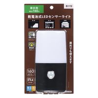 オーム電機 LEDポーチライト B160JCー3 06-0855 1個