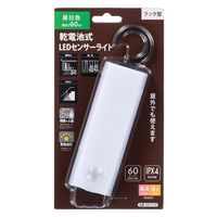 オーム電機 LEDポーチライト B60JFー4 06-0145 1個