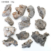 リーフ 形状お任せ 裂渓石 サイズミックス 10kg(約5~30cm) 255593 1個（直送品）