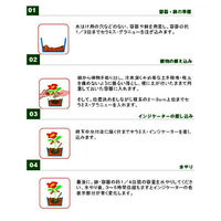 創和リサイクル SERAMIS セラミス・グラニュー(室内容器栽培用土) 1.25L(0.5kg) 52587 1個（直送品）