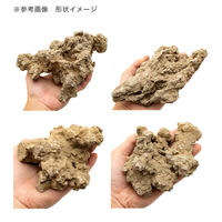 リーフ 形状お任せ 仙礁石 サイズミックス(約5~20cm) 5kg 45cm水槽向け 809081 1個（直送品）