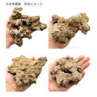 リーフ 形状お任せ 仙礁石 サイズミックス(約5~30cm) 10kg 60cm水槽向け 809082 1個（直送品）