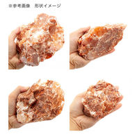 リーフ 形状お任せ 緋晶石 サイズミックス(約5~30cm) 10kg 60cm水槽向け 809154 1個（直送品）