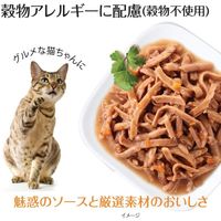ウェルネス ヘルシーインダルジェンス 旨みしっとりフレーク仕立て ツナ＆エビ 85g 10袋 キャットフード 猫 ウェット パウチ