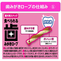 エブリデント 歯みがきロープ 愛犬用 かため SSサイズ 国産 55g（約20本）1袋 犬 おやつ 歯磨き アース・ペット