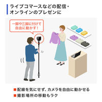 サンワサプライ ワイヤレス広角WEBカメラ CMS-V69BK 1個（直送品）